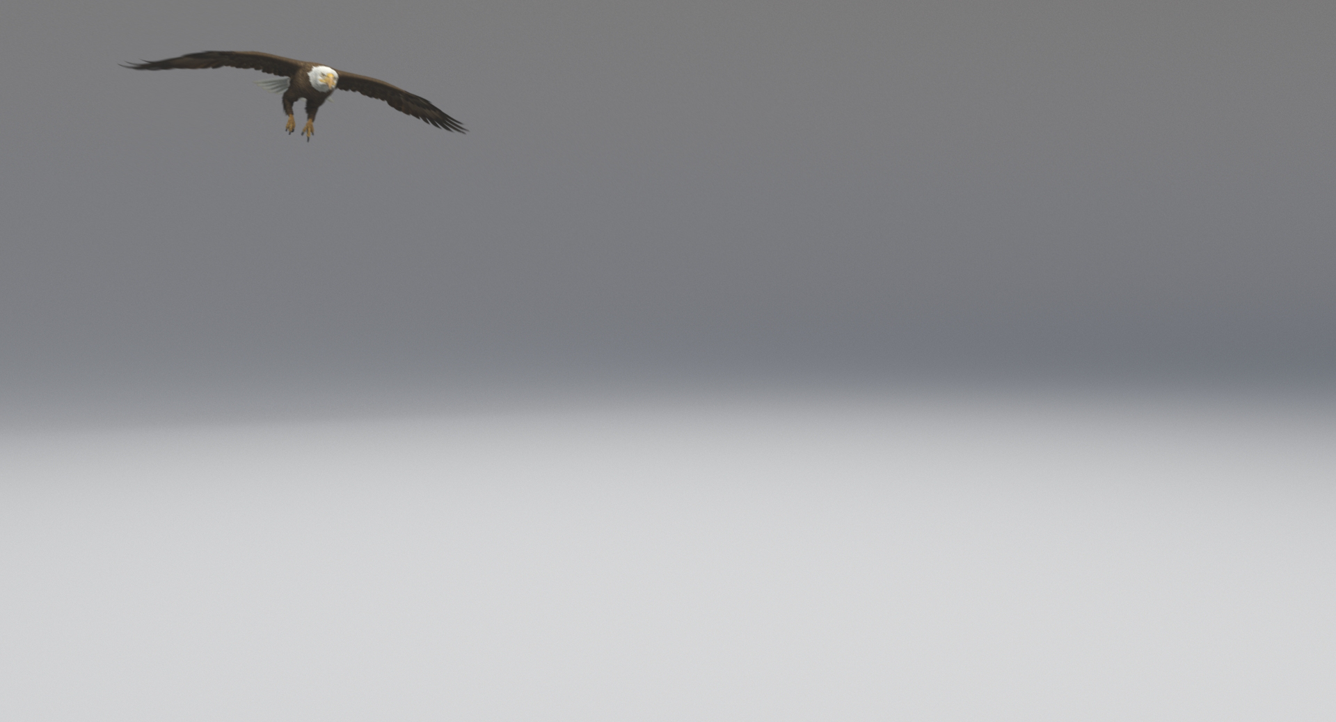 3D american bald eagle animations https://p.turbosquid.com/ts-thumb/r0/ybD0Kk/KnaRkkZC/flyend/jpg/1547117464/1920x1080/turn_fit_q99/9c324c63e9c58736786dc1b370762a0e5d608891/flyend-1.jpg