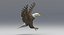 3D american bald eagle animations