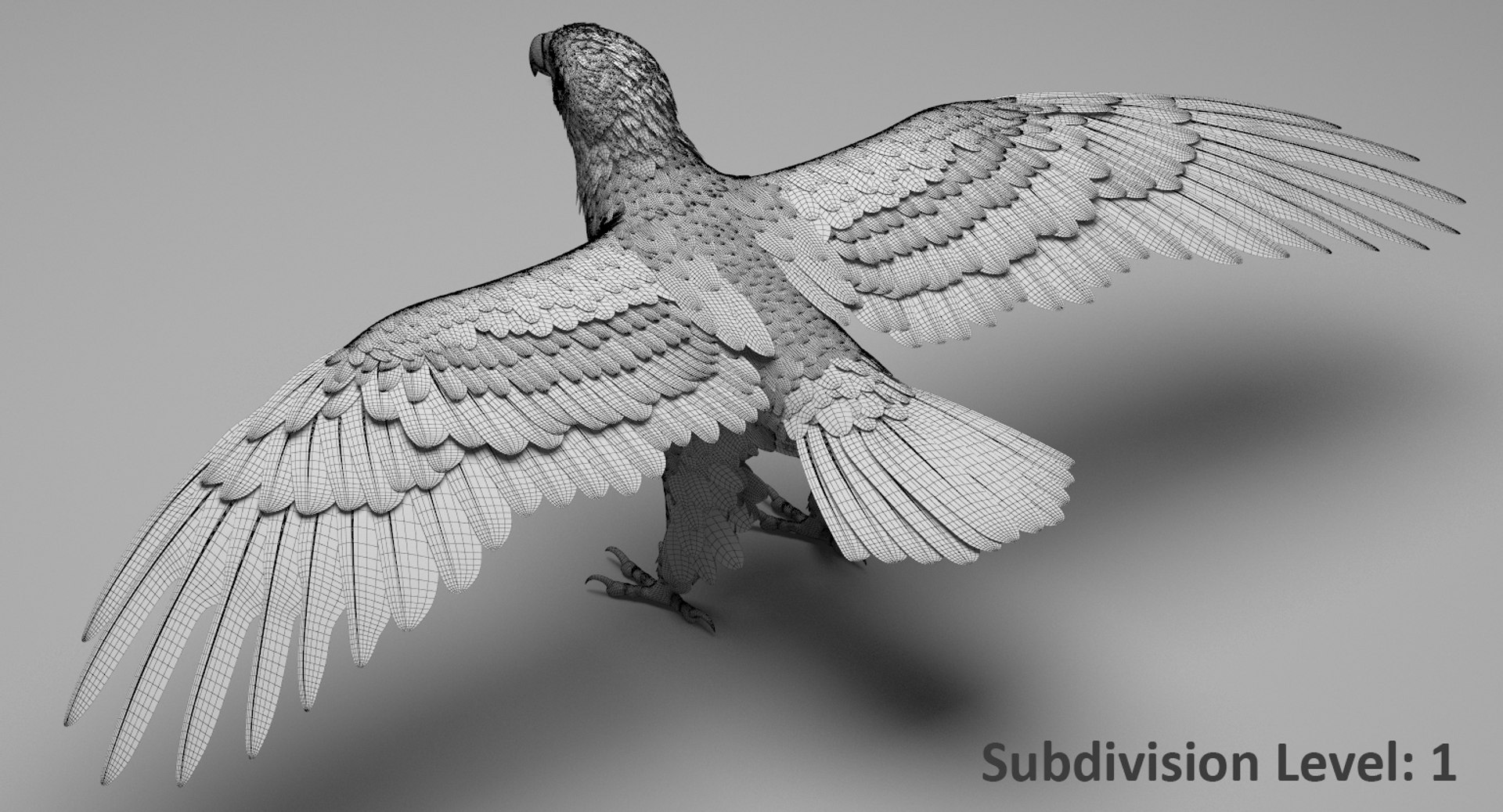 3D american bald eagle animations https://p.turbosquid.com/ts-thumb/r0/ybD0Kk/XxLJILeP/15a/jpg/1547123217/1920x1080/fit_q87/74e21784d757164b2f7114b4075f9b61a0eb43cc/15a.jpg