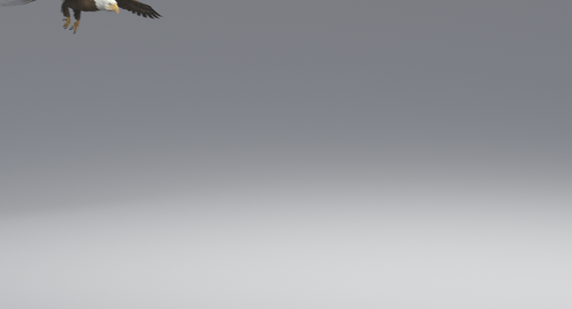 3D american bald eagle animations https://p.turbosquid.com/ts-thumb/r0/ybD0Kk/axhk6AQZ/flyend/jpg/1547117419/1920x1080/turn_fit_q99/1f82fe26329440276f0526fa0badc3c6bc829762/flyend-1.jpg