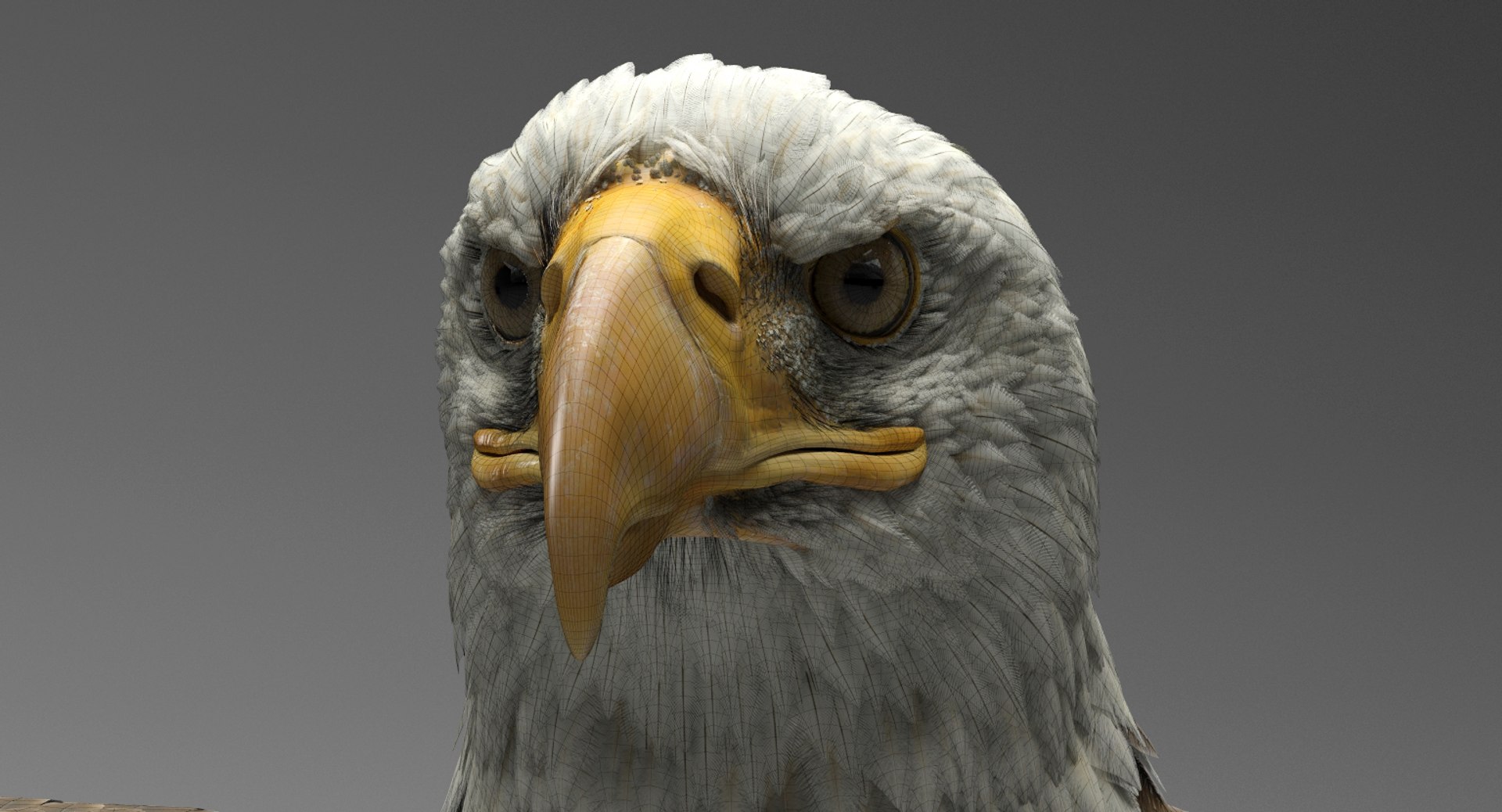 3D american bald eagle animations https://p.turbosquid.com/ts-thumb/r0/ybD0Kk/s6VT6Q7W/20/jpg/1547123300/1920x1080/fit_q87/1a235b64df44f9ce0aa410464b56b29e0f4b4a27/20.jpg