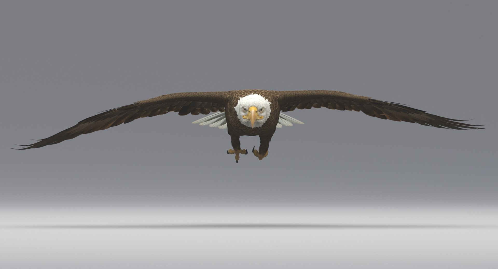 3D american bald eagle animations https://p.turbosquid.com/ts-thumb/r0/ybD0Kk/sLbUTmXo/10/jpg/1547116336/1920x1080/fit_q87/6508c4dde376842a42ba6deef4ac472c65555fcc/10.jpg