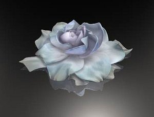 3d gardenia texturing model