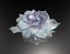 flower-gardenia