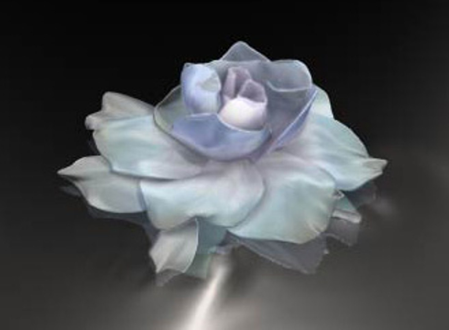 3d gardenia texturing model https://p.turbosquid.com/ts-thumb/r1/0JKbcm/8lWmeWp5/thumb02/jpg/1123649875/1920x1080/fit_q87/f819bf4865c8b652eb5af2f911e6ac2677948c02/thumb02.jpg