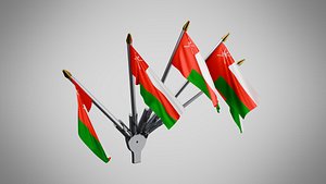 3D Wall Mount Flags 5 Of Oman