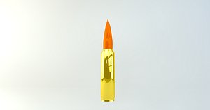 Bullet