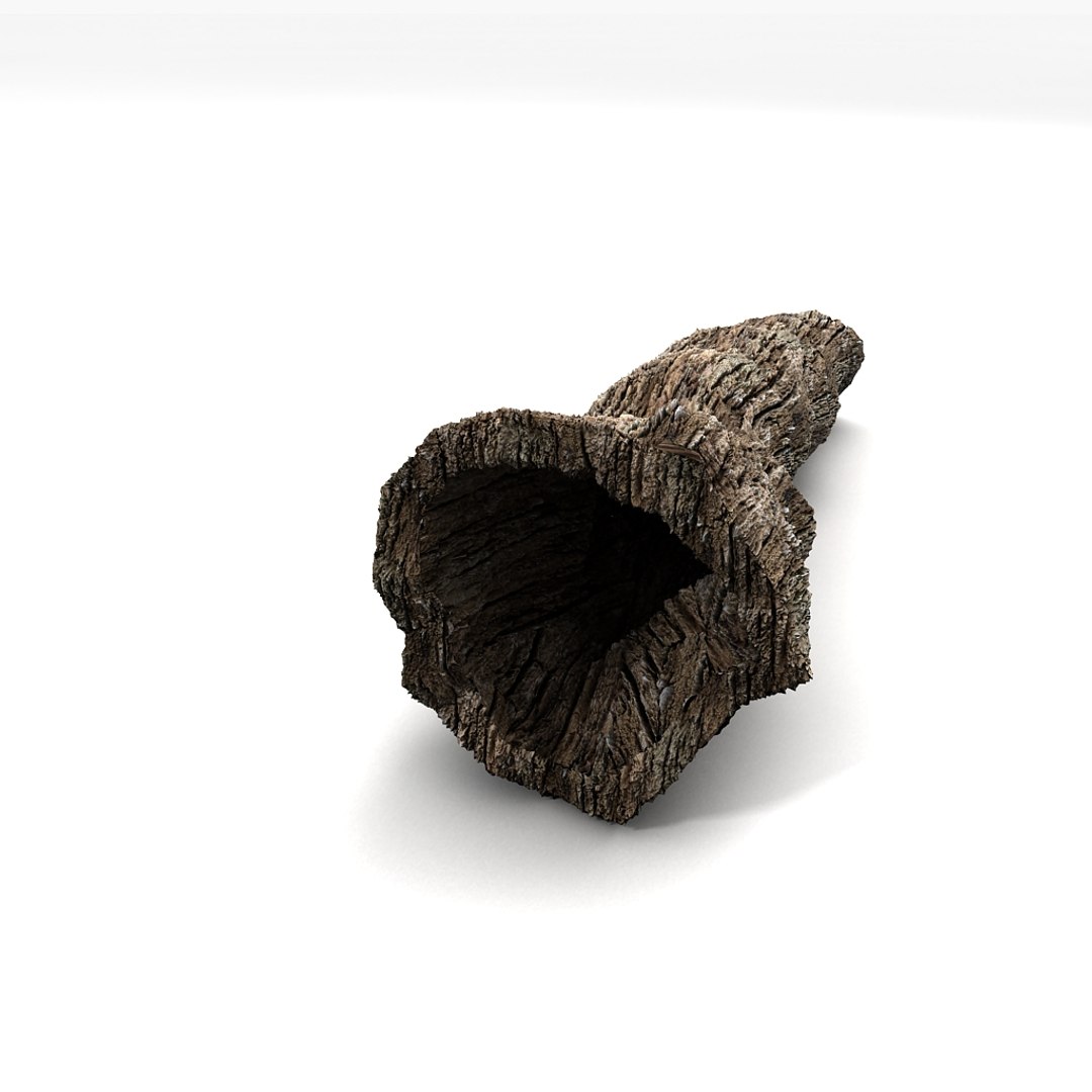 3d hollow trunk https://p.turbosquid.com/ts-thumb/r1/FS1jFx/ACAprhF2/02/jpg/1349107356/1920x1080/fit_q87/3c5c40760edf384c23b55a7738b69ca1bc881a98/02.jpg