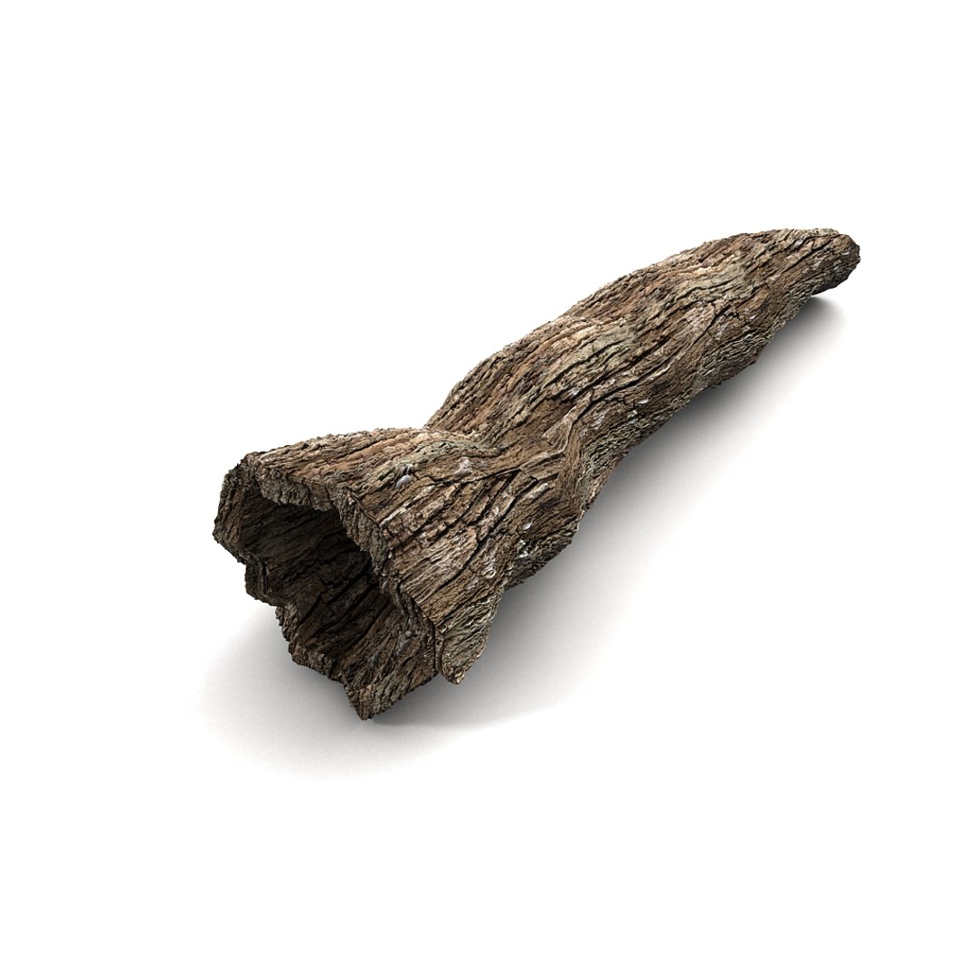 3d hollow trunk https://p.turbosquid.com/ts-thumb/r1/FS1jFx/bEr2dY80/01/jpg/1349107357/1920x1080/fit_q87/7515aa8cb47696f3ce8e7ffe403813ddcc7373ed/01.jpg