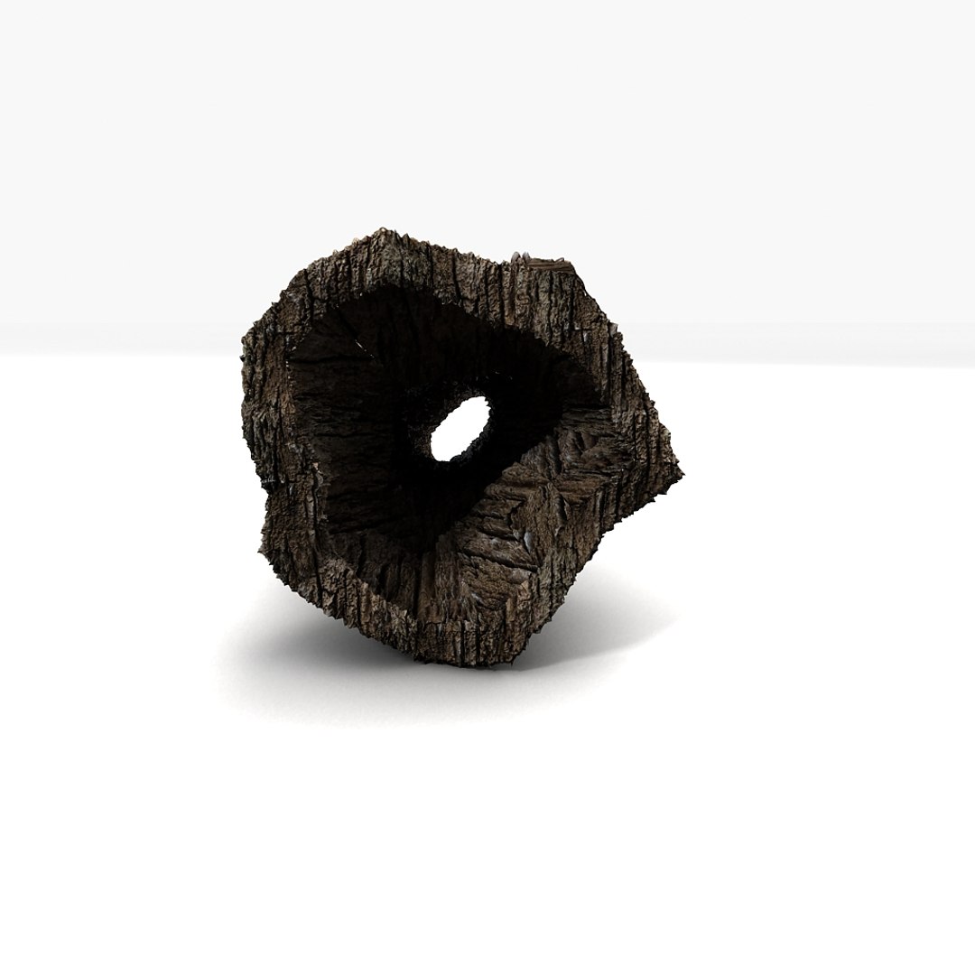 3d hollow trunk https://p.turbosquid.com/ts-thumb/r1/FS1jFx/cXjCItkS/04/jpg/1349107356/1920x1080/fit_q87/f3b42f69536d44f86cc6e13dfda5ed8c9a5675db/04.jpg
