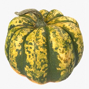 Carnival Squash Green Pumpkin PBR Scan Retopo 3D model
