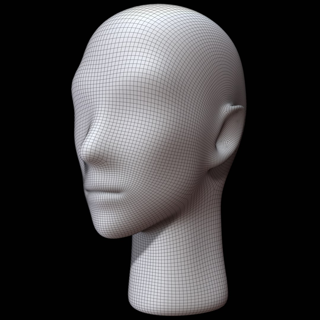 STL file Head Human - Human Head Mannequin 👗・Model to download