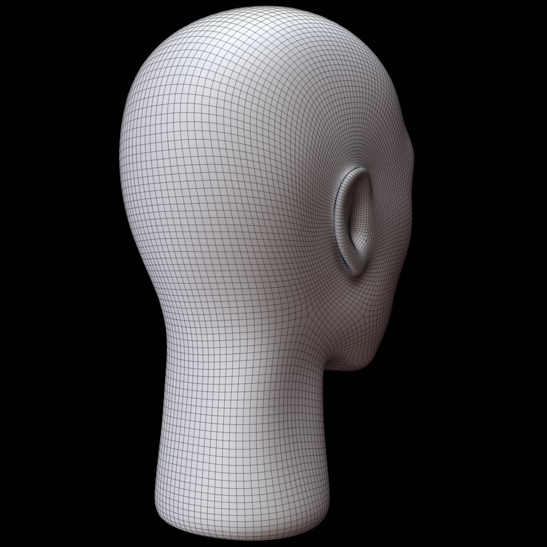 STL file Head Human - Human Head Mannequin 👗・Model to download and 3D  print・Cults