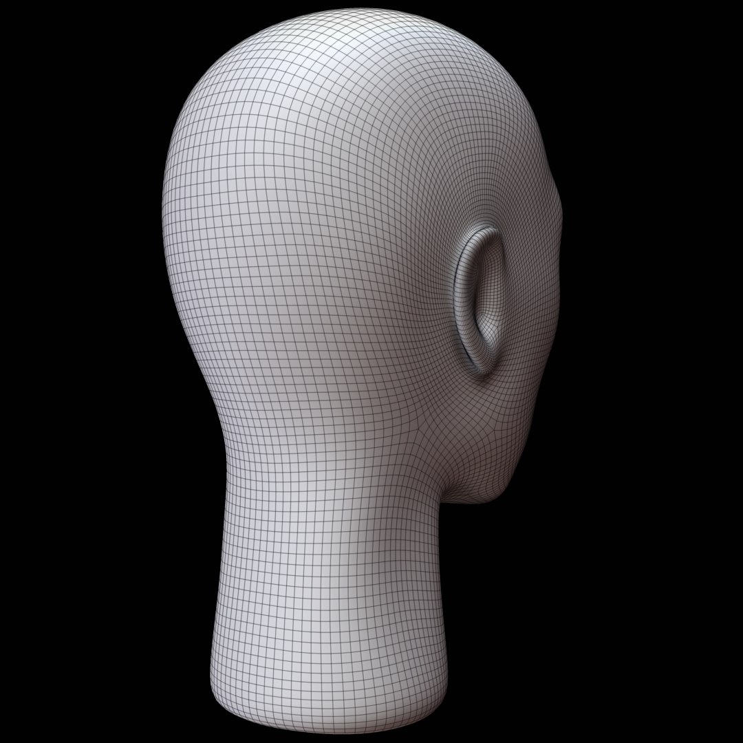 STL file Head Human - Human Head Mannequin 👗・Model to download