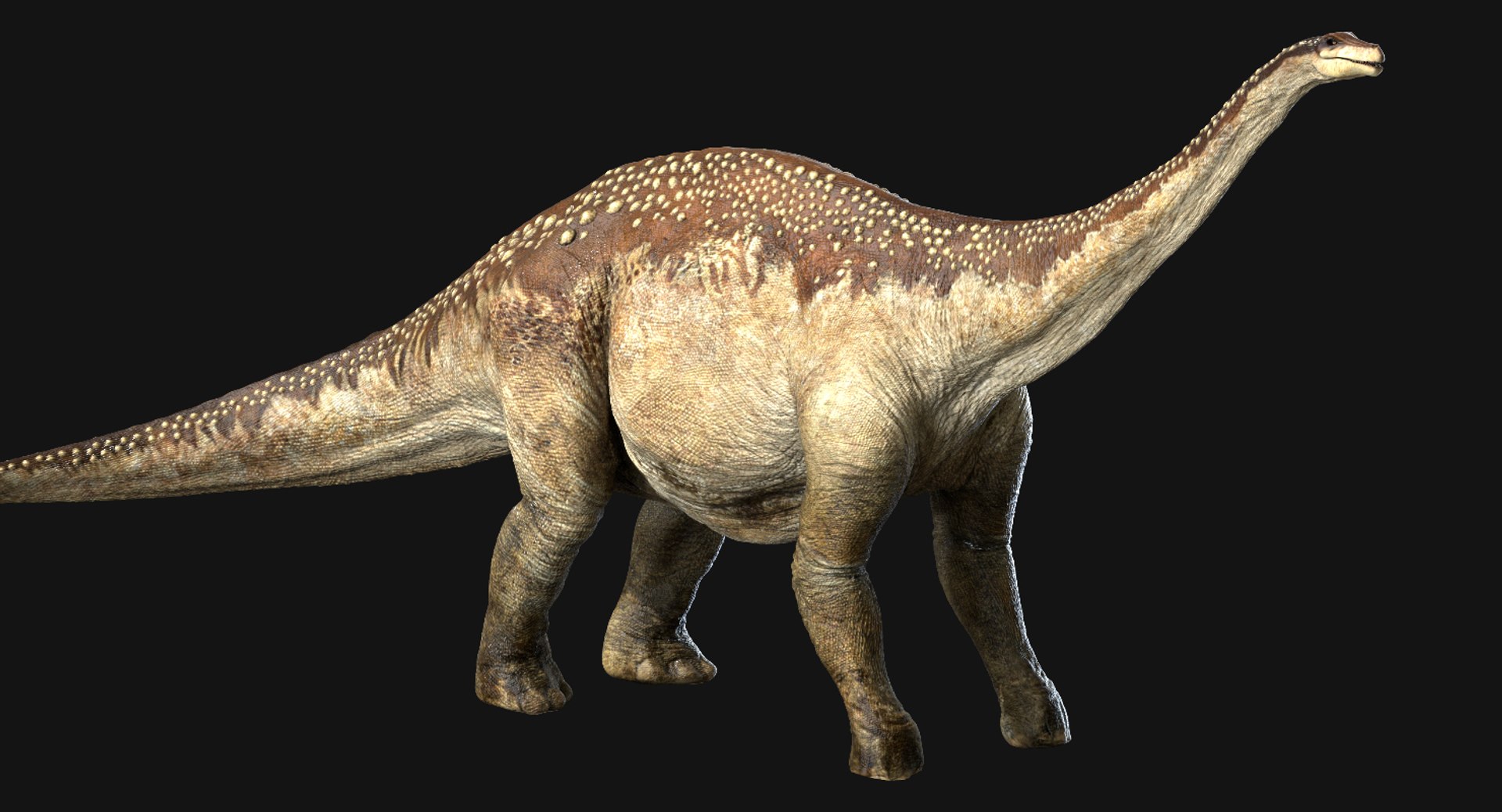 v-ray rig 3D model https://p.turbosquid.com/ts-thumb/r1/ed5OyI/Fg6lRUE0/11/jpg/1561191494/1920x1080/fit_q87/e6e5b169e68b2009569787cf28eb16c8a004fb4a/11.jpg