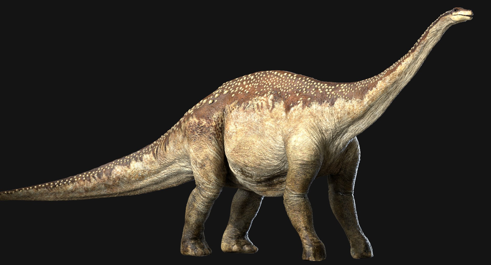 v-ray rig 3D model https://p.turbosquid.com/ts-thumb/r1/ed5OyI/KBqncKCT/14/jpg/1561191494/1920x1080/fit_q87/d3c332546b10d3d5fe357bb40b380f2aaca170aa/14.jpg