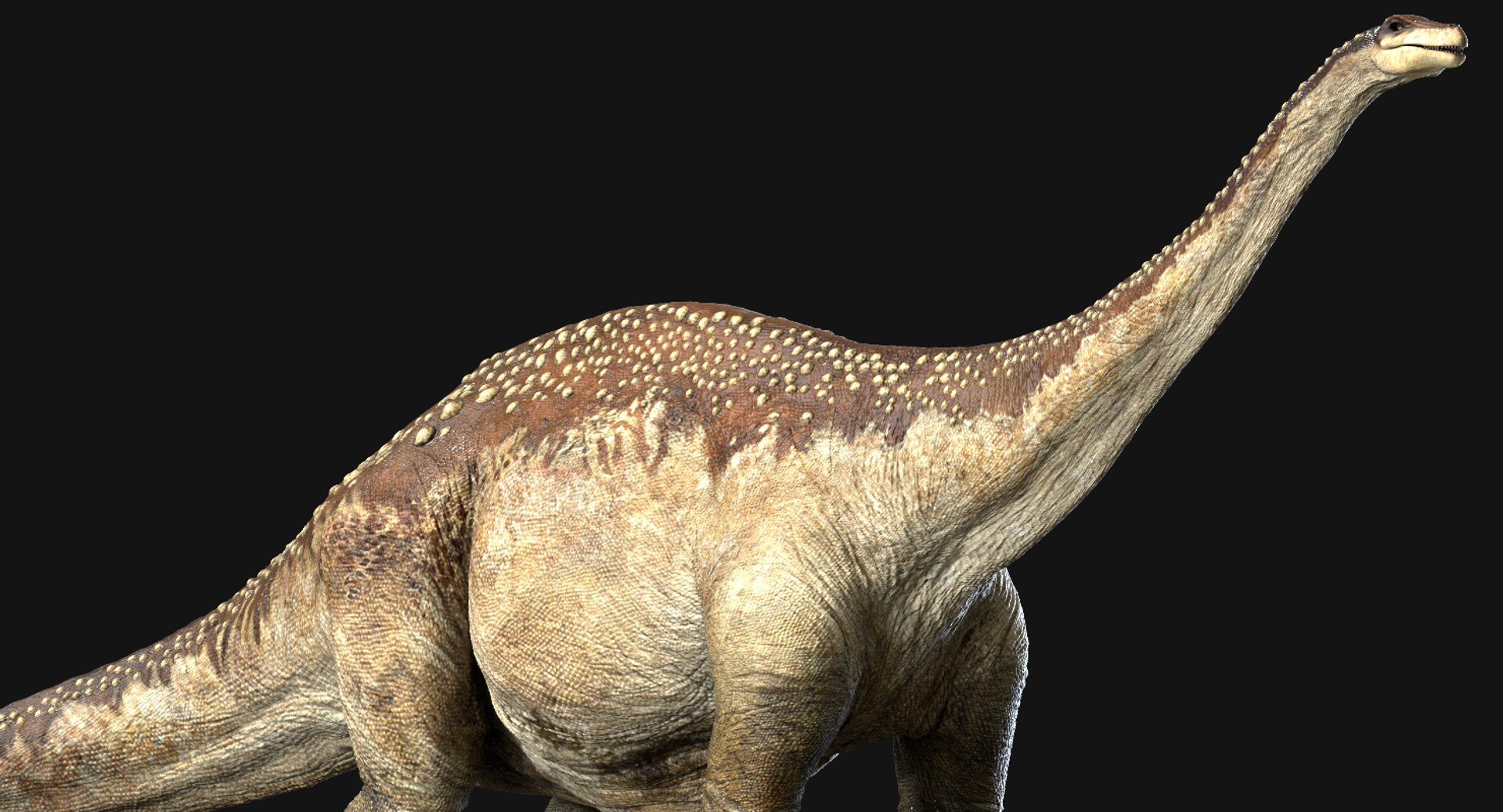 v-ray rig 3D model https://p.turbosquid.com/ts-thumb/r1/ed5OyI/XHcHjsL9/15/jpg/1561191494/1920x1080/fit_q87/34d55651031e36e5ee4a375e70a197a7b61741c6/15.jpg