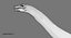 Argentinosaurus 3D (Rigged)