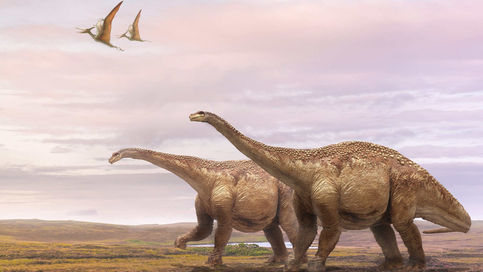 v-ray rig 3D model https://p.turbosquid.com/ts-thumb/r1/ed5OyI/gYldyrgD/02/jpg/1572662805/1920x1080/fit_q87/b1b5b0f67efbfe92dab95895267d3a2c11e30f58/02.jpg