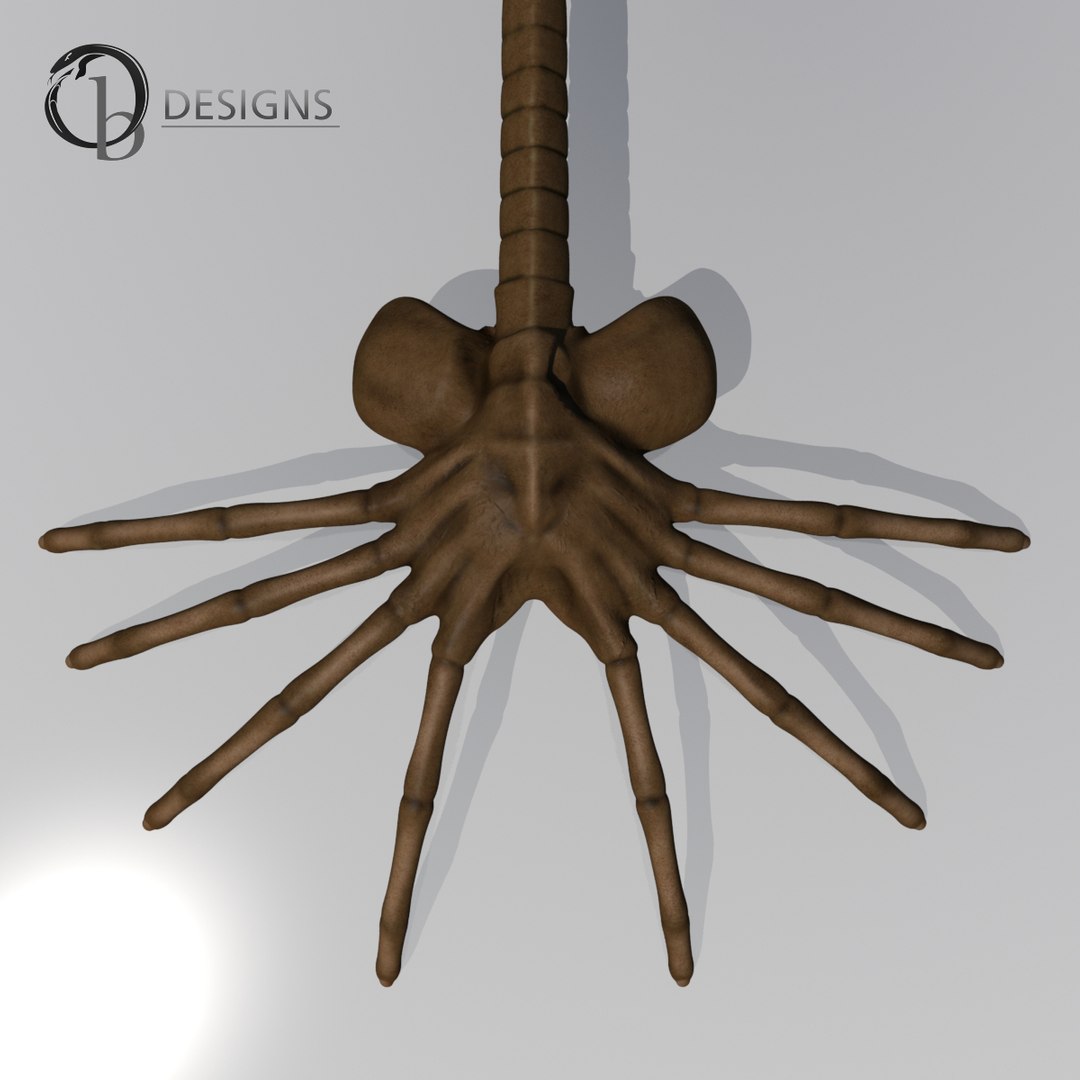 facehugger egg alien max https://p.turbosquid.com/ts-thumb/r1/kjrYH9/QeFwji1U/facehugger3/jpg/1404652523/1920x1080/fit_q87/c89d33fb721782685ca071376ca7acaf32445c84/facehugger3.jpg