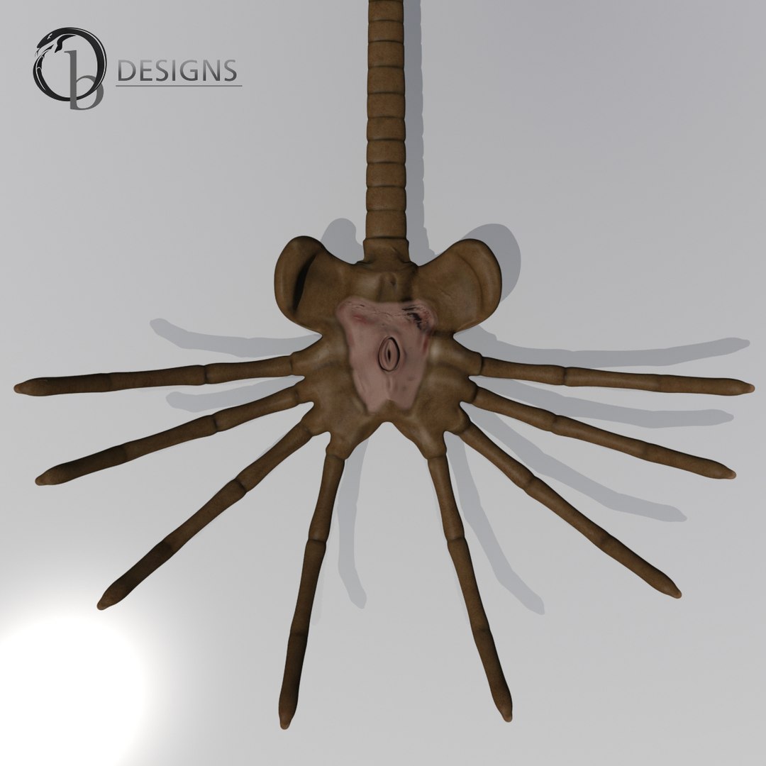 facehugger egg alien max https://p.turbosquid.com/ts-thumb/r1/kjrYH9/Y3tyq59B/facehugger4/jpg/1404652523/1920x1080/fit_q87/1a5938fce03d898a2ababa79d9bcaf9aac39900b/facehugger4.jpg