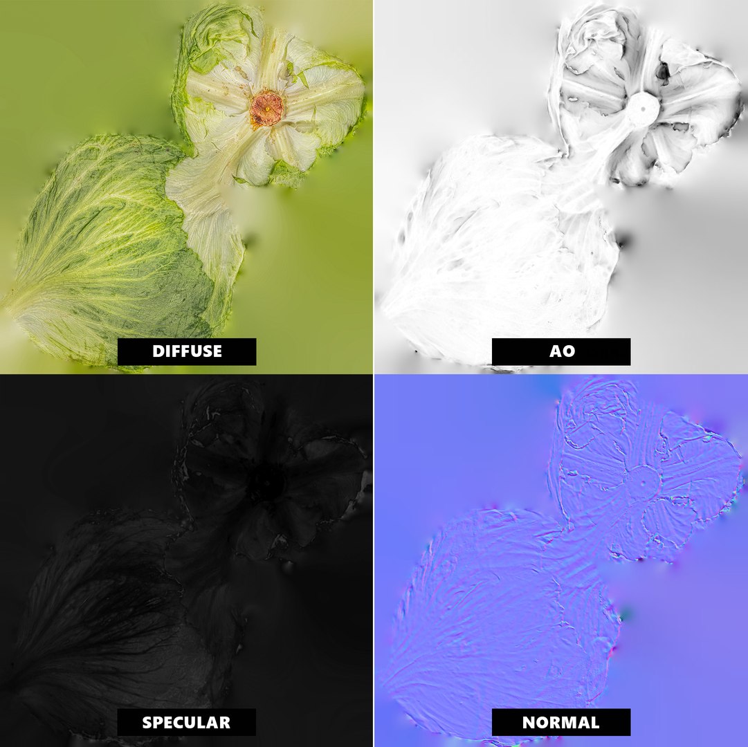3D 8k Lettuce with 3 LODs model https://p.turbosquid.com/ts-thumb/r1/tJ47VY/3p/lettuce_01_8k_texturesheet/jpg/1636309135/1920x1080/fit_q87/605b126c142e2174928d29739e44cf64af7f3201/lettuce_01_8k_texturesheet.jpg