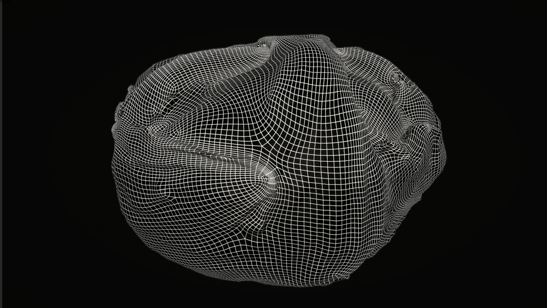 3D 8k Lettuce with 3 LODs model https://p.turbosquid.com/ts-thumb/r1/tJ47VY/CJ/lettuce_01_8k_turntable_lod0/jpg/1636309160/1920x1080/turn_fit_q99/899abdcf29872d0deed0401ea5a07f058d4c9361/lettuce_01_8k_turntable_lod0-1.jpg