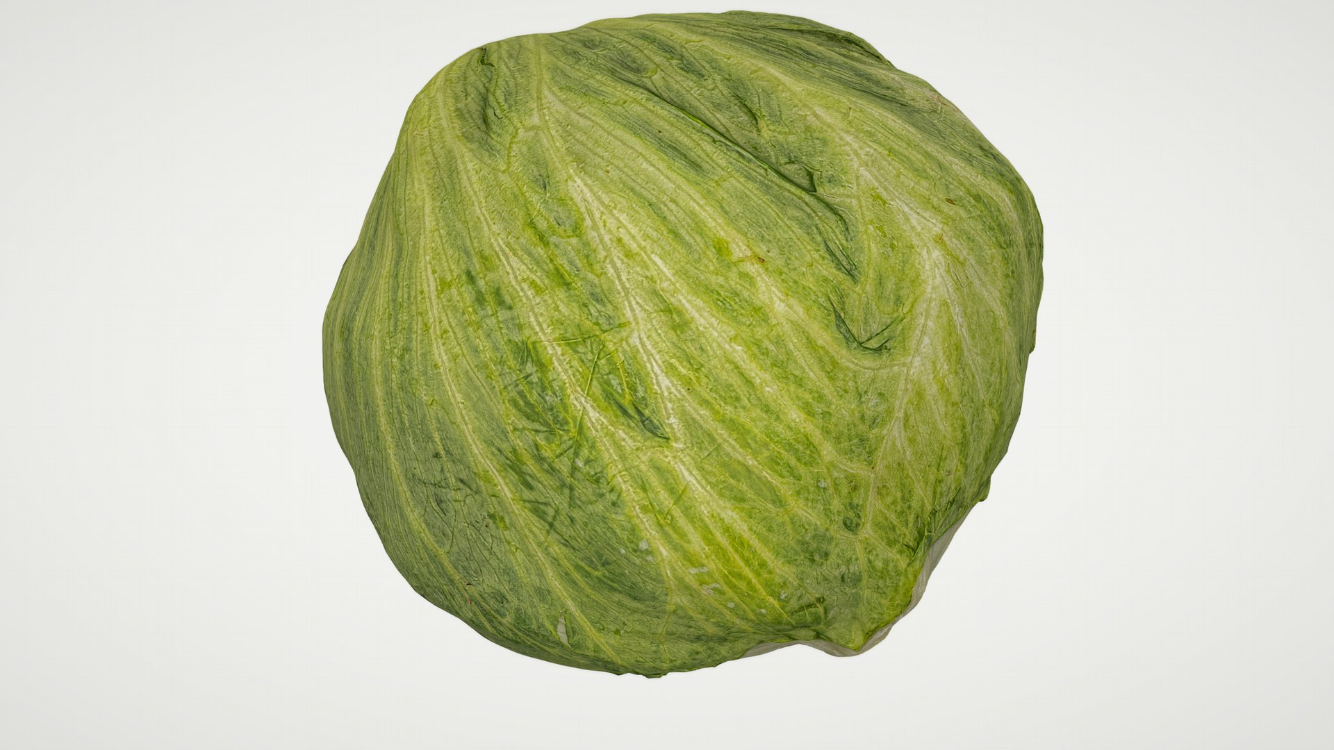 3D 8k Lettuce with 3 LODs model https://p.turbosquid.com/ts-thumb/r1/tJ47VY/Iw/lettuce_01_8k_render_06/png/1636308393/1920x1080/fit_q87/a103173ad144c4b2f0db81ffcec901bb3b7e0be9/lettuce_01_8k_render_06.jpg