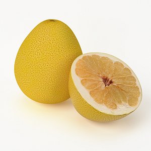 3d model realistic pomelo fruit real