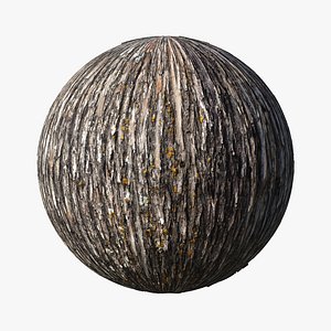 Bald cypress PBR tiled texture 16K