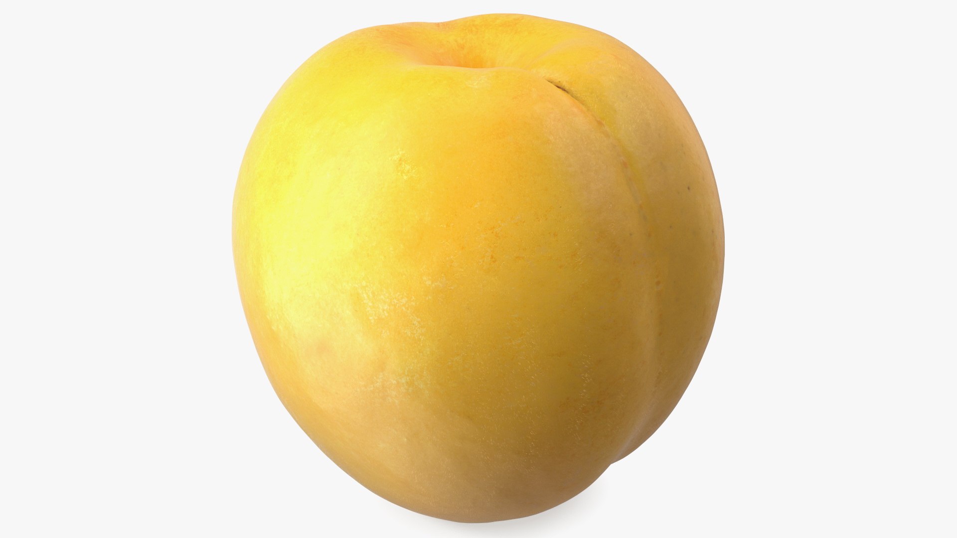 Yellow Apricot Fur 3D model preview