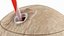 Coconut Drink with Straw