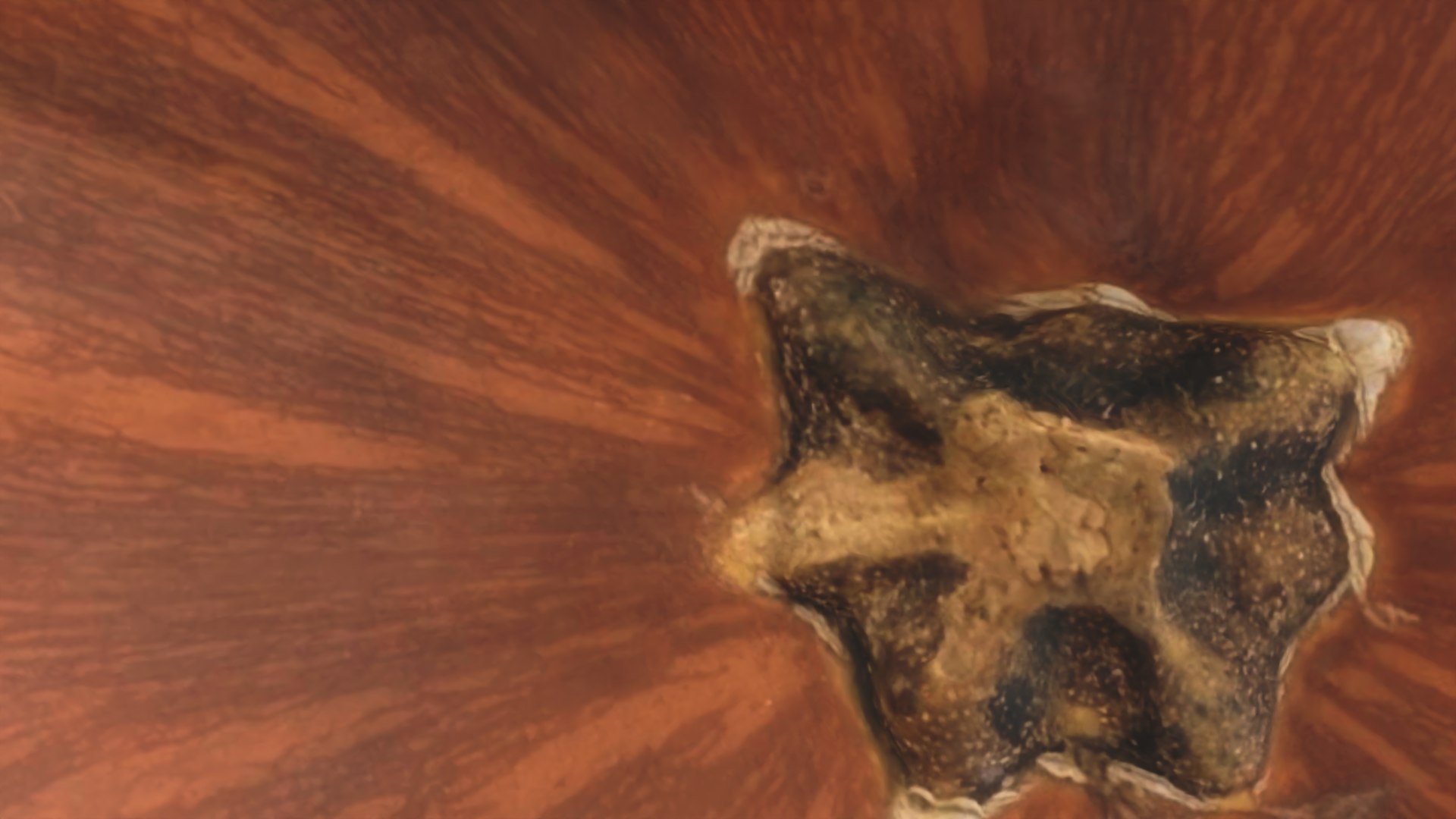 3D Moscata di Provenza model https://p.turbosquid.com/ts-thumb/r2/GTumsX/Di/rr_blank_bg_0083/png/1720187764/1920x1080/fit_q87/a19886cb3d7c16ddc80e1329d4b1def53e4bb1de/rr_blank_bg_0083.jpg