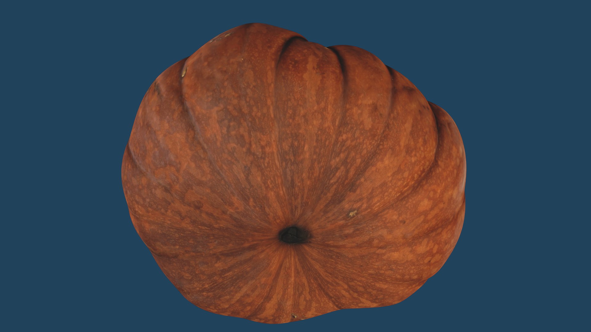 3D Moscata di Provenza model https://p.turbosquid.com/ts-thumb/r2/GTumsX/NV/rr_color_bg_0081/png/1720187823/1920x1080/fit_q87/4a9c635173061c15a2c4fcd7111e763b7b3ea6ed/rr_color_bg_0081.jpg
