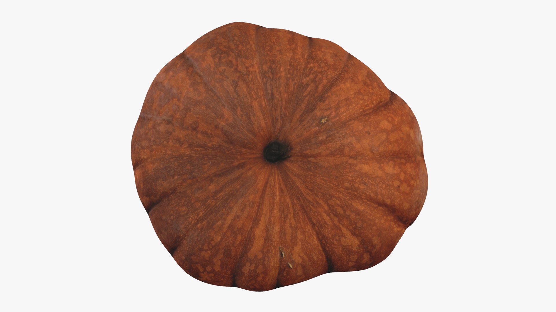 3D Moscata di Provenza model https://p.turbosquid.com/ts-thumb/r2/GTumsX/OG/rr_blank_bg_0082/png/1720187758/1920x1080/fit_q87/e55e61a1fc8957ae8876474ca2f92f6d4fb3c4fa/rr_blank_bg_0082.jpg