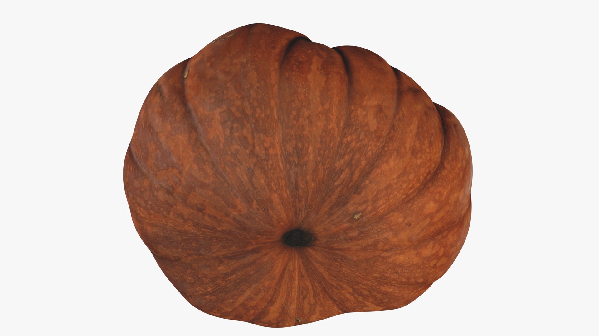 3D Moscata di Provenza model https://p.turbosquid.com/ts-thumb/r2/GTumsX/we/rr_blank_bg_0081/png/1720187758/1920x1080/fit_q87/f38f4174b84f1e73337483a3d68bd274c24afbcc/rr_blank_bg_0081.jpg