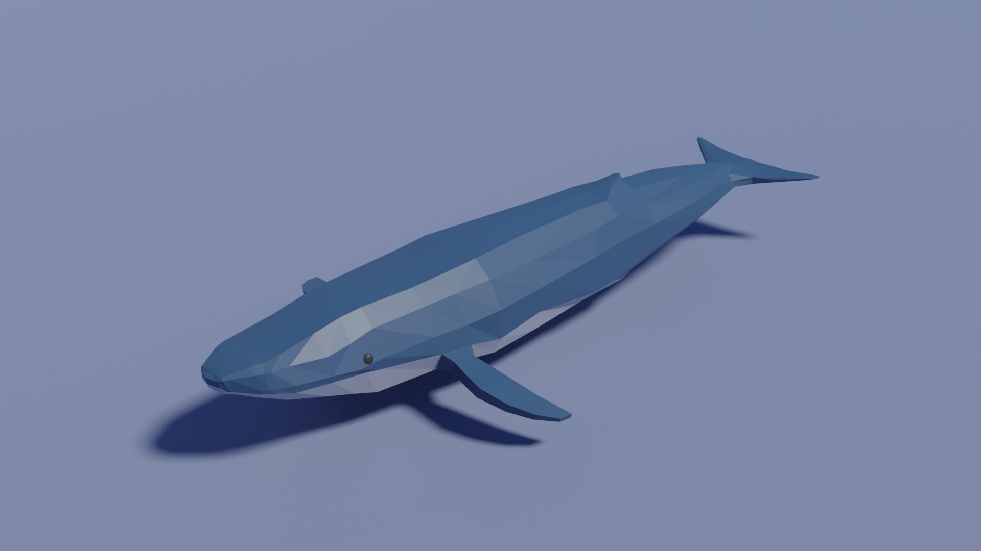 3d blue whale model https://p.turbosquid.