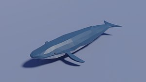 3D blue whale model