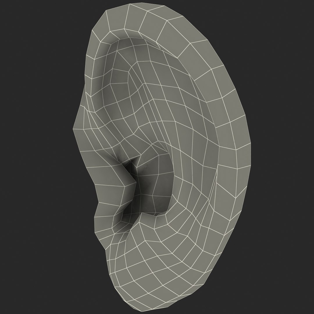 human ear 3ds https://p.turbosquid.com/ts-thumb/r2/PyDSjZ/VatH5UOU/humanear_11/jpg/1376977501/1920x1080/fit_q87/f9a451d2db78ec6e21d9e65c3bf9f8c1000b405b/humanear_11.jpg