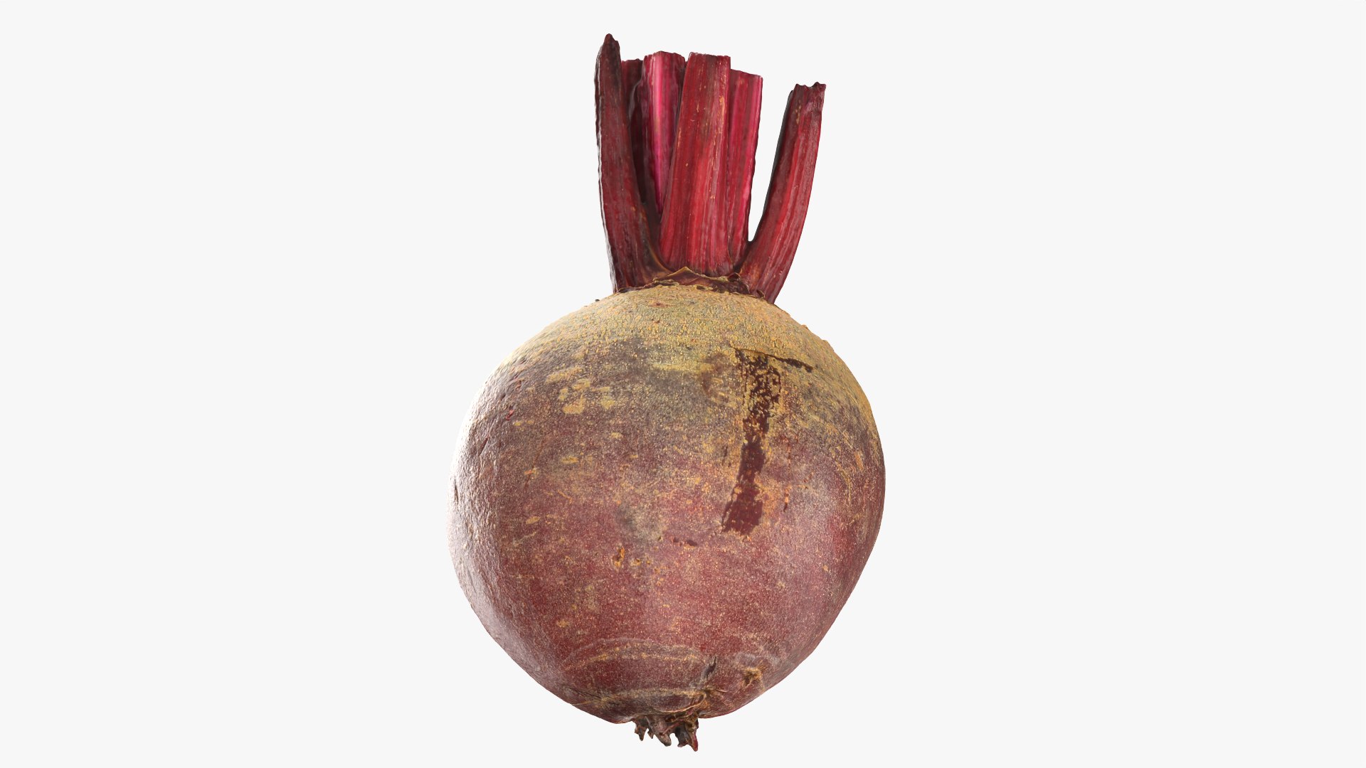 Beetroot Cut Half 3D model https://p.turbosquid.com/ts-thumb/r2/QECUpk/4G/beetrootcut_0005/png/1765288755/1920x1080/fit_q87/5f5379060508307178e622557d5dbbf3f5d7a0c2/beetrootcut_0005.jpg