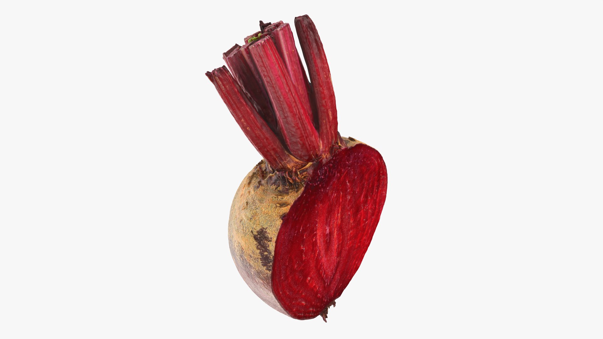 Beetroot Cut Half 3D model https://p.turbosquid.com/ts-thumb/r2/QECUpk/DW/beetrootcut_0006/png/1765288756/1920x1080/fit_q87/42ef82ab19cd8212d218fe69a6d3a827bbca9a04/beetrootcut_0006.jpg