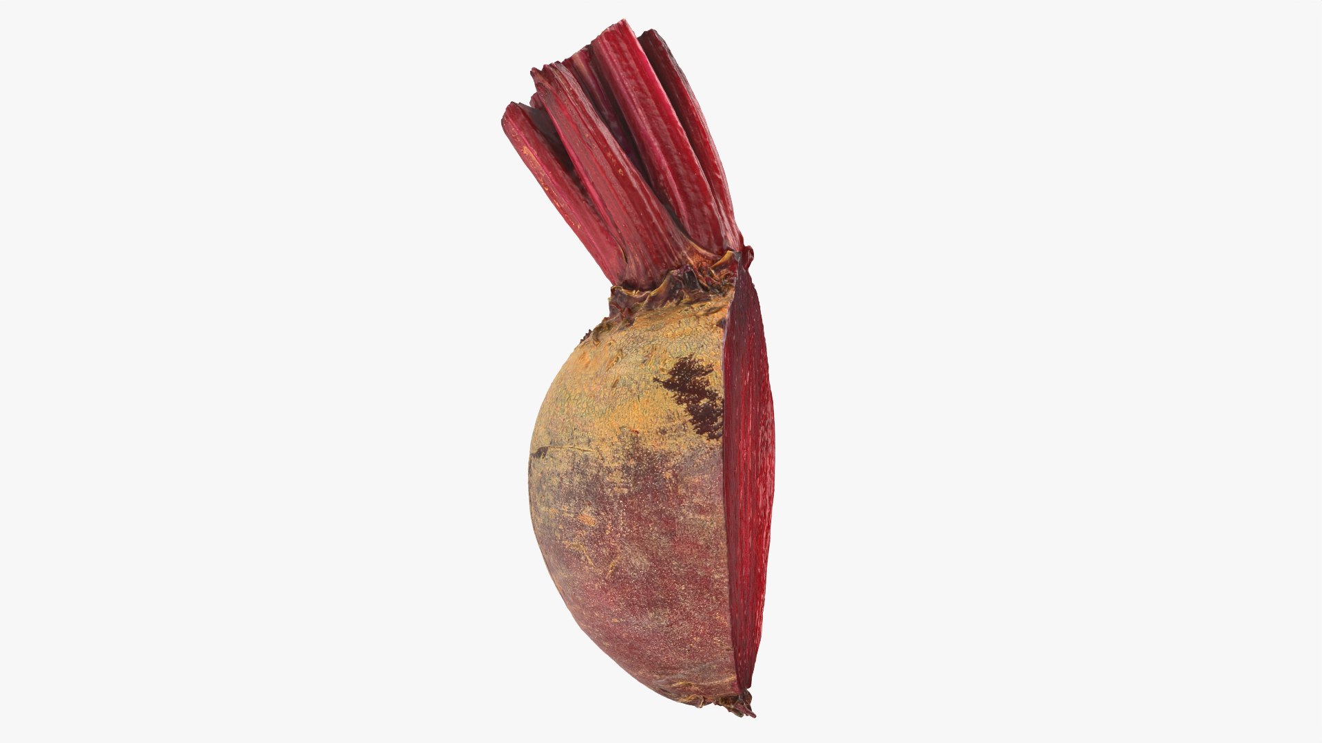 Beetroot Cut Half 3D model https://p.turbosquid.com/ts-thumb/r2/QECUpk/E0/beetrootcut_0004/png/1765288752/1920x1080/fit_q87/daea316f19a6de807933fd690b838ea81fc13b53/beetrootcut_0004.jpg