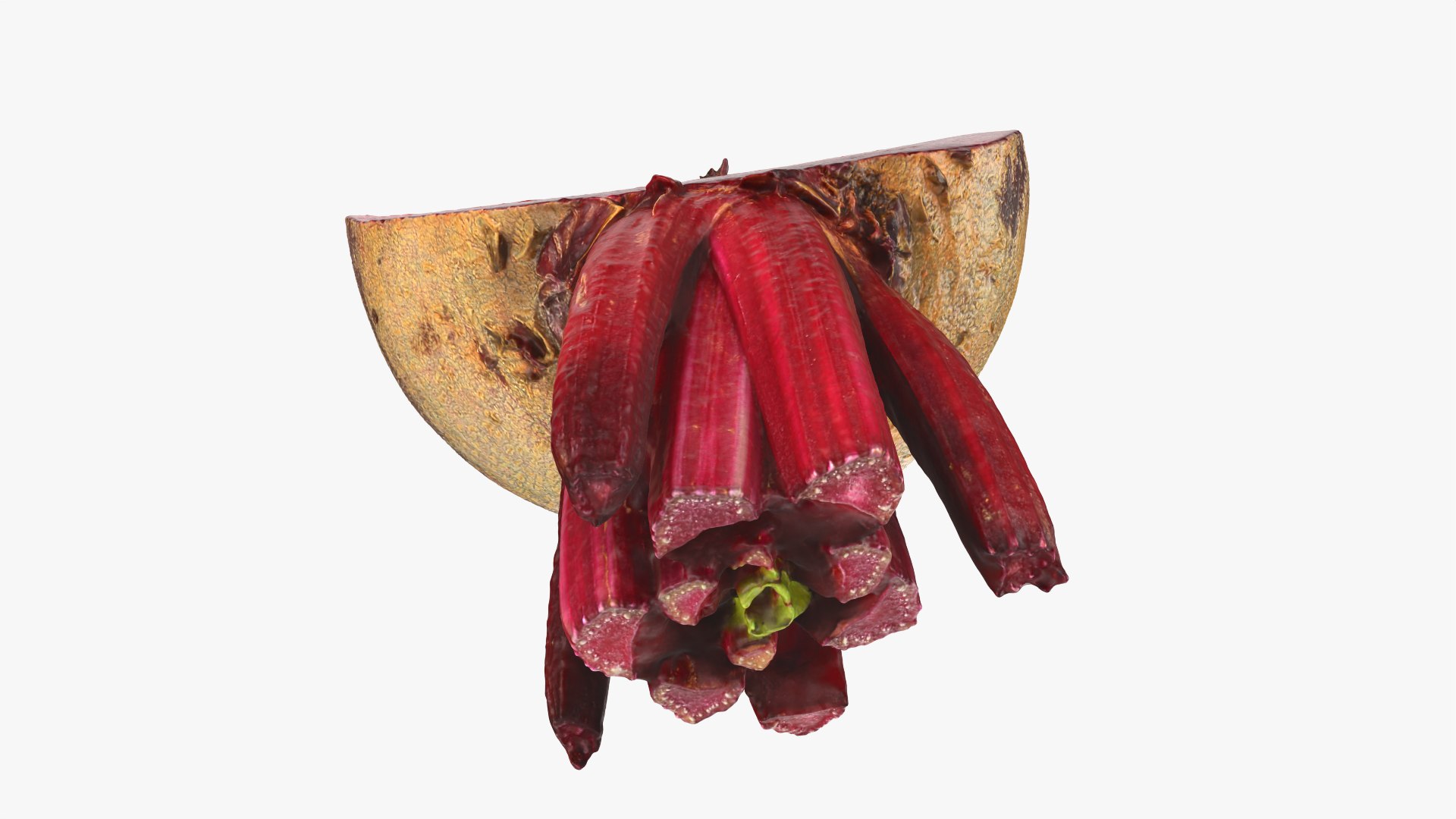 Beetroot Cut Half 3D model https://p.turbosquid.com/ts-thumb/r2/QECUpk/EH/beetrootcut_0010/png/1765288767/1920x1080/fit_q87/9fd086d5fdd3b412863426a1414f652b82aaacab/beetrootcut_0010.jpg