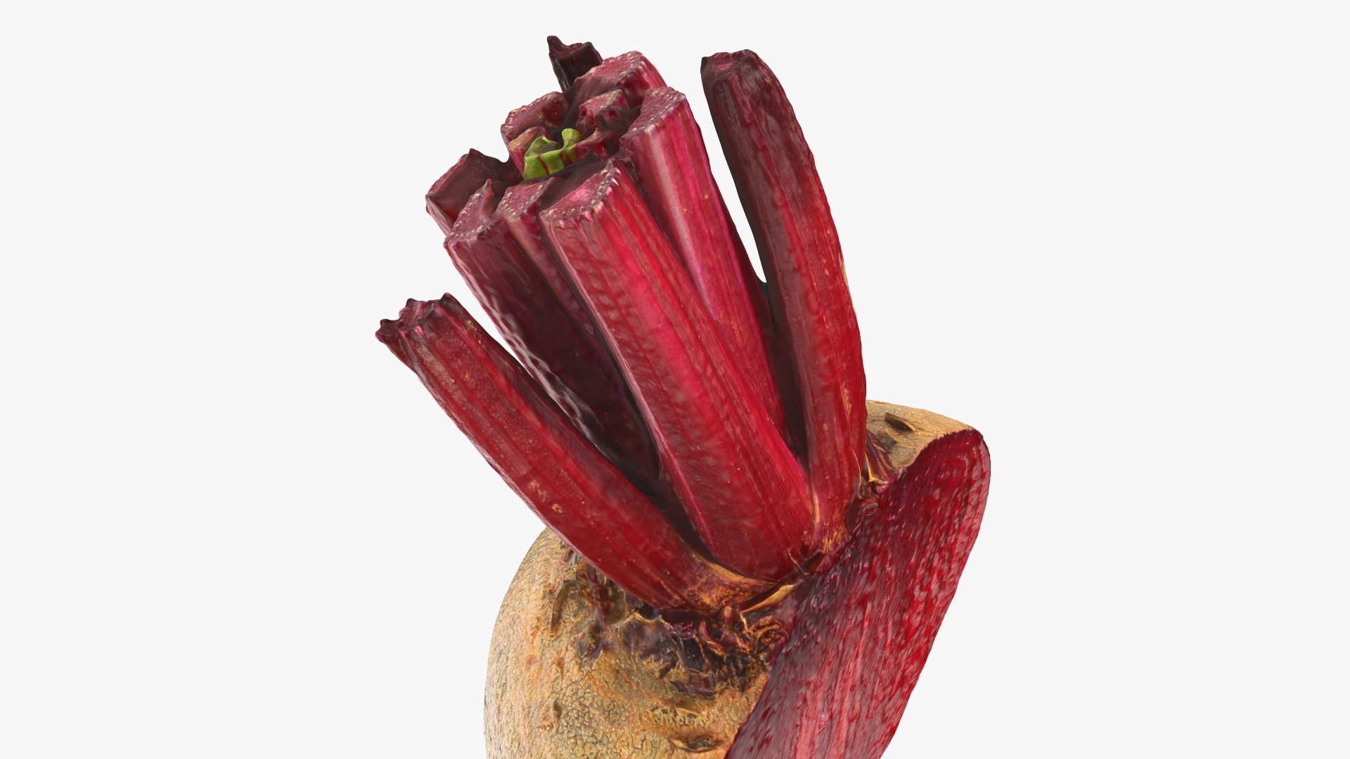 Beetroot Cut Half 3D model https://p.turbosquid.com/ts-thumb/r2/QECUpk/I2/beetrootcut_0012/png/1765288771/1920x1080/fit_q87/e727404072a44172dee204d9e794021ddfe929aa/beetrootcut_0012.jpg