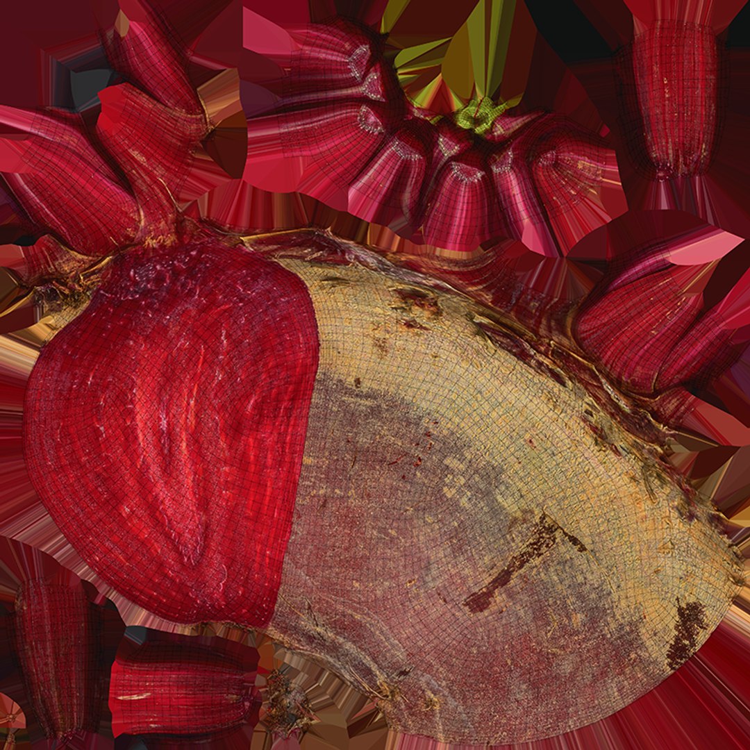 Beetroot Cut Half 3D model https://p.turbosquid.com/ts-thumb/r2/QECUpk/Pn/beetrootcut_c0004/png/1765288769/1920x1080/fit_q87/cae3847d350a5a2c4921c8fe437ce6051a5d1cfe/beetrootcut_c0004.jpg