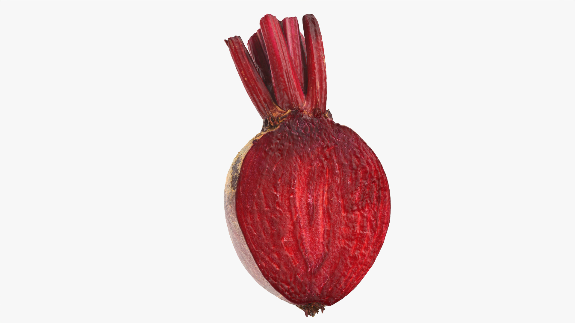 Beetroot Cut Half 3D model https://p.turbosquid.com/ts-thumb/r2/QECUpk/TG/beetrootcut/png/1765599698/1920x1080/turn_fit_q99/5e5ccb84d7b7a1abf757296df28d52f8c12f8ddd/beetrootcut-1.jpg