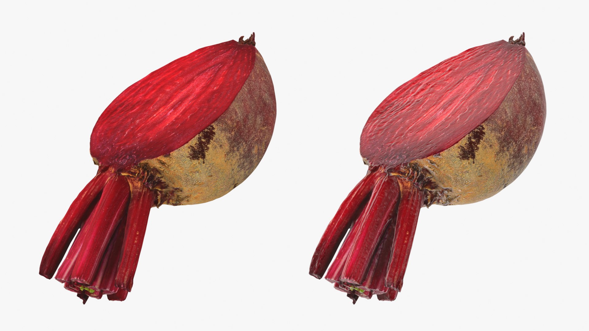 Beetroot Cut Half 3D model https://p.turbosquid.com/ts-thumb/r2/QECUpk/an/beetrootcut_0001b/png/1765288749/1920x1080/fit_q87/92df9eca1d46421d06c6f845fecfb8c1c3c556e6/beetrootcut_0001b.jpg