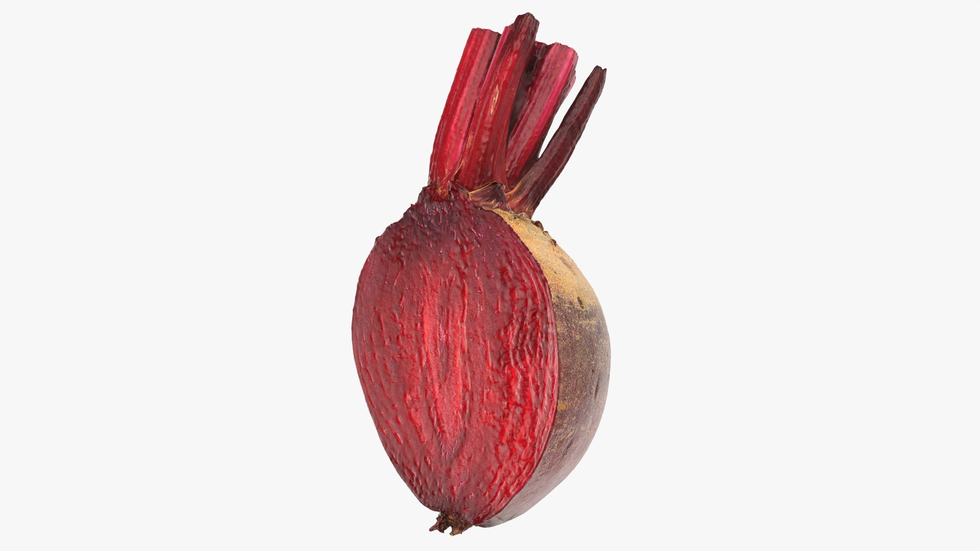 Beetroot Cut Half 3D model https://p.turbosquid.com/ts-thumb/r2/QECUpk/c3/beetrootcut_0002/png/1765288749/1920x1080/fit_q87/59f06d0d7aaa7a14c96d0d39a10c180ce47a6088/beetrootcut_0002.jpg