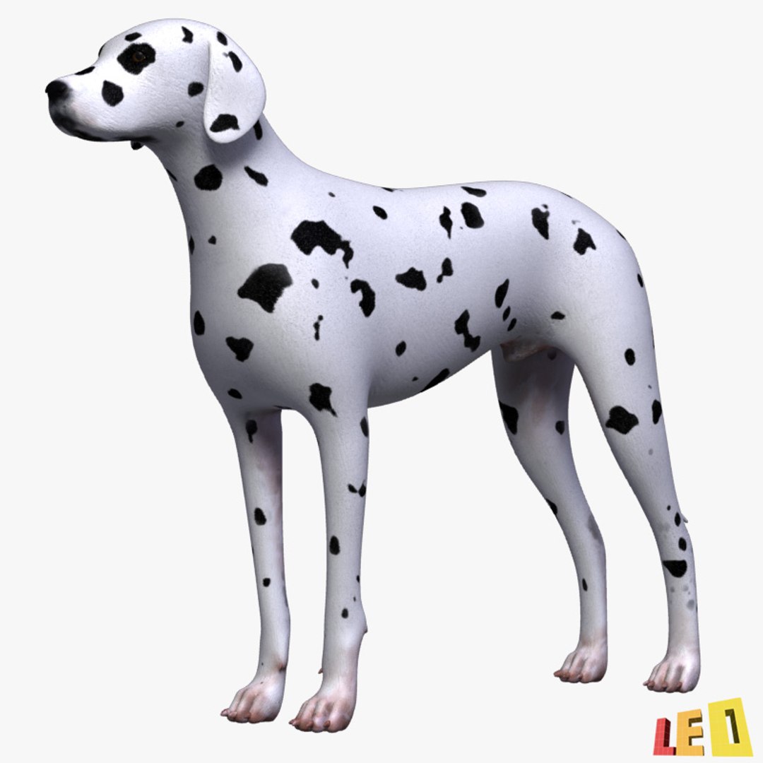 3d dog dalmatian https://p.turbosquid.com/ts-thumb/r2/QpGpVY/5bkUArvk/dalmatian_01/jpg/1362385786/1920x1080/fit_q87/6de7387b9d869349a5d9db0b7249565475e76f20/dalmatian_01.jpg