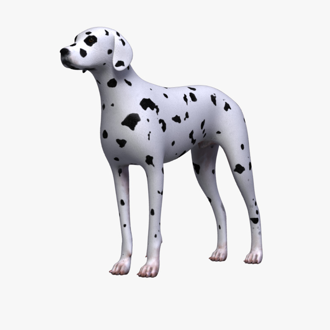3d dog dalmatian https://p.turbosquid.com/ts-thumb/r2/QpGpVY/88lyN9SO/scenev_/jpg/1362385797/1920x1080/turn_fit_q99/20c0c9c908551efa3b2ce968a01f02688a6c8812/scenev_-1.jpg